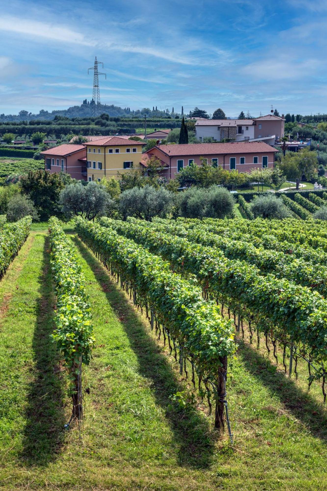 Appart hôtel Tenuta Di Palu Bardolino