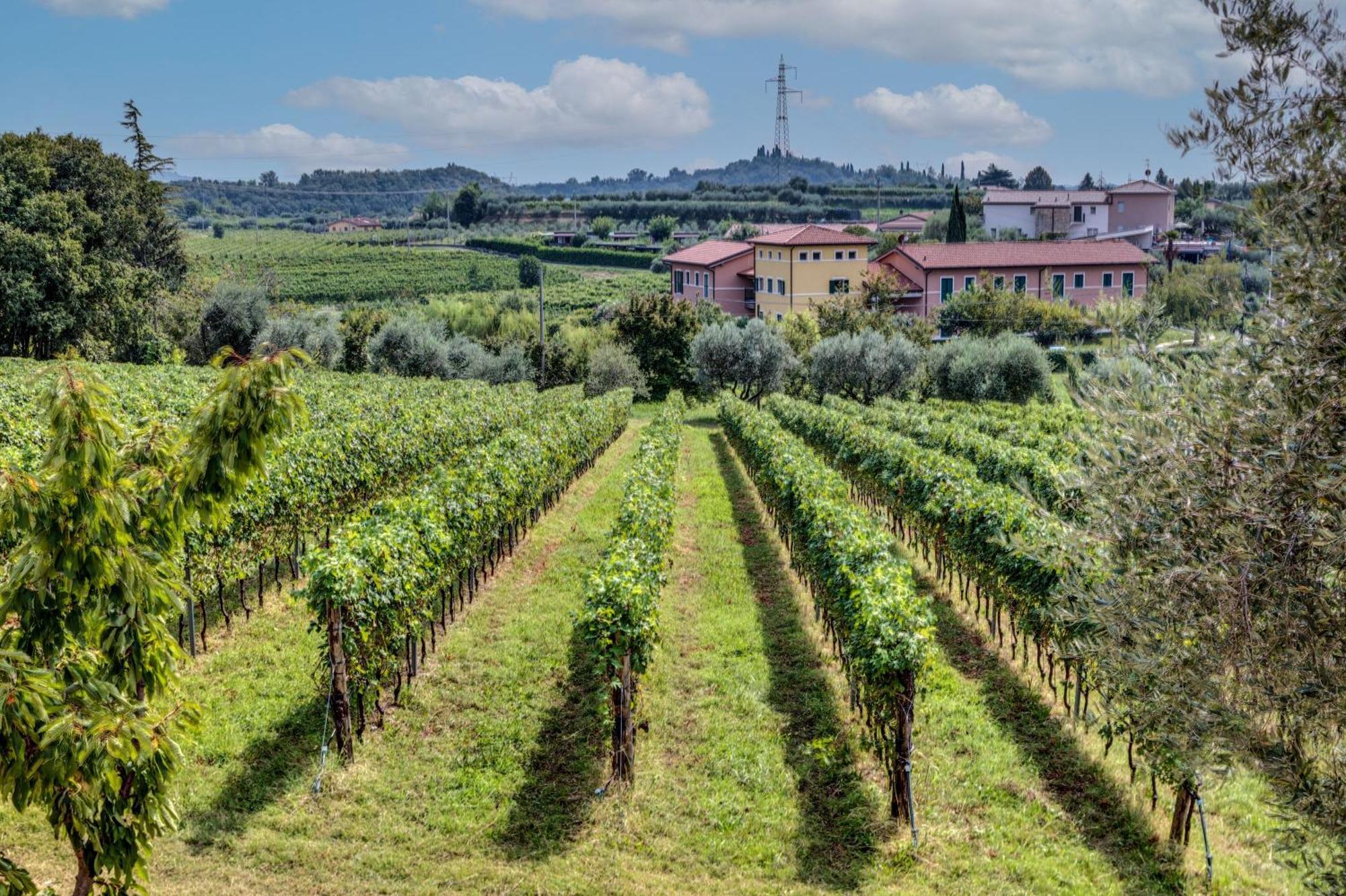 Appart hôtel Tenuta Di Palu Bardolino